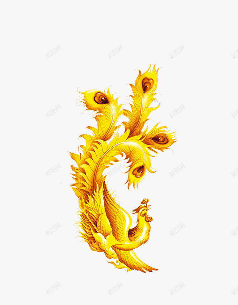 凤凰png免抠素材_新图网 https://ixintu.com 凤凰 动物 金凤凰 黄金凤
