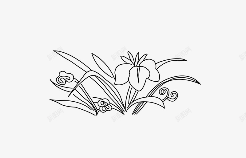简笔小草和花朵简图png免抠素材_新图网 https://ixintu.com 叶子 小草 简笔 线条 花卉 花朵 花瓣 装饰