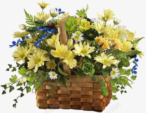 花篮png免抠素材_新图网 https://ixintu.com 花丛 花卉 花篮 鲜花