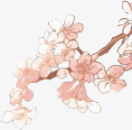 红色樱花彩绘png免抠素材_新图网 https://ixintu.com 彩绘 樱花 红色