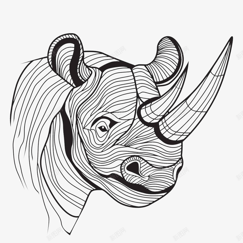 简洁手绘线条结构犀牛角犀牛png免抠素材_新图网 https://ixintu.com 手绘犀牛 犀牛 犀牛正面 犀牛角 犀角 线条结构犀牛 黑白犀牛
