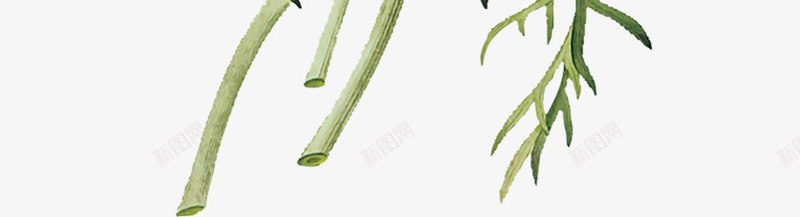 花卉背景花草图案png免抠素材_新图网 https://ixintu.com 卡通 水彩花卉素材 花卉标签 花卉设计素材 花草画 花草线描