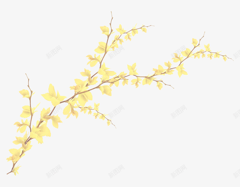树枝上的花png免抠素材_新图网 https://ixintu.com png png素材 树枝 花 黄花