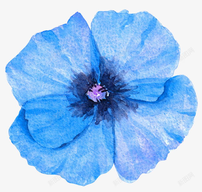 水彩绘花朵png免抠素材_新图网 https://ixintu.com 唯美花环 水彩绘花朵 淡雅 花卉 花朵