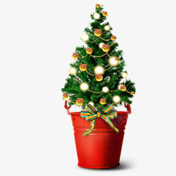 圣诞装饰植物1素材
