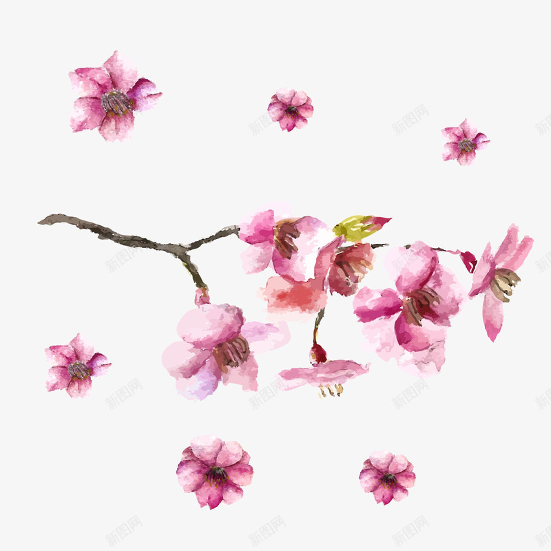 水彩绘红色桃花树枝png免抠素材_新图网 https://ixintu.com 卡通花朵 卡通鲜花 桃花 樱花 红色鲜花 背景装饰