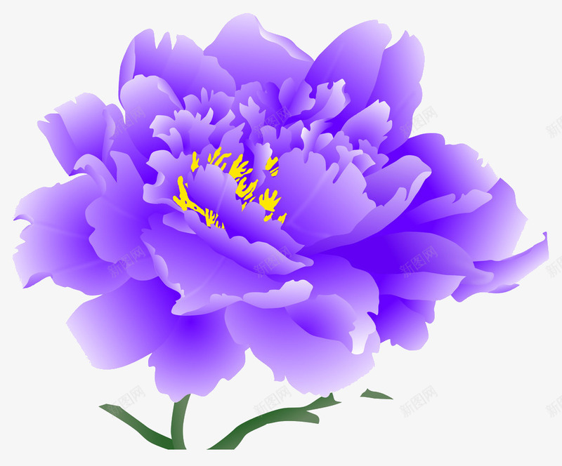 花卉世界png免抠素材_新图网 https://ixintu.com 植物 牡丹花海 紫色 绘画 装饰 鲜花