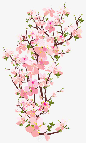 唯美漂亮花枝png免抠素材_新图网 https://ixintu.com 唯美素材 简洁 花朵 花瓣