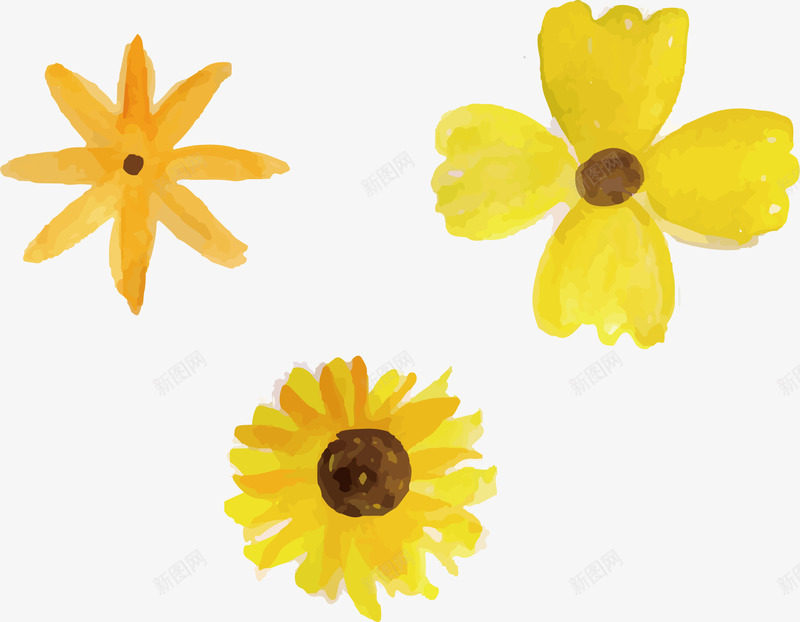 三朵小黄花png免抠素材_新图网 https://ixintu.com 小雏菊 小黄花 水彩花卉 水彩花朵 矢量素材