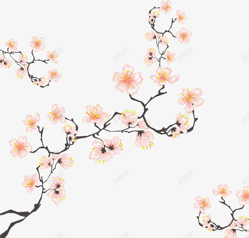 樱花树枝矢量图ai免抠素材_新图网 https://ixintu.com 樱花枝 水粉色 花朵 装饰 矢量图