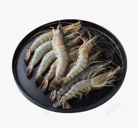 肥美虎头虾png免抠素材_新图网 https://ixintu.com png图片 产品实物 免费png 免费png元素 巴布虎头虾 欧美产