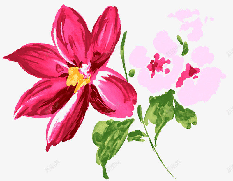 茑萝的友谊png免抠素材_新图网 https://ixintu.com 手绘 水粉 花卉 花朵 茑萝 装饰