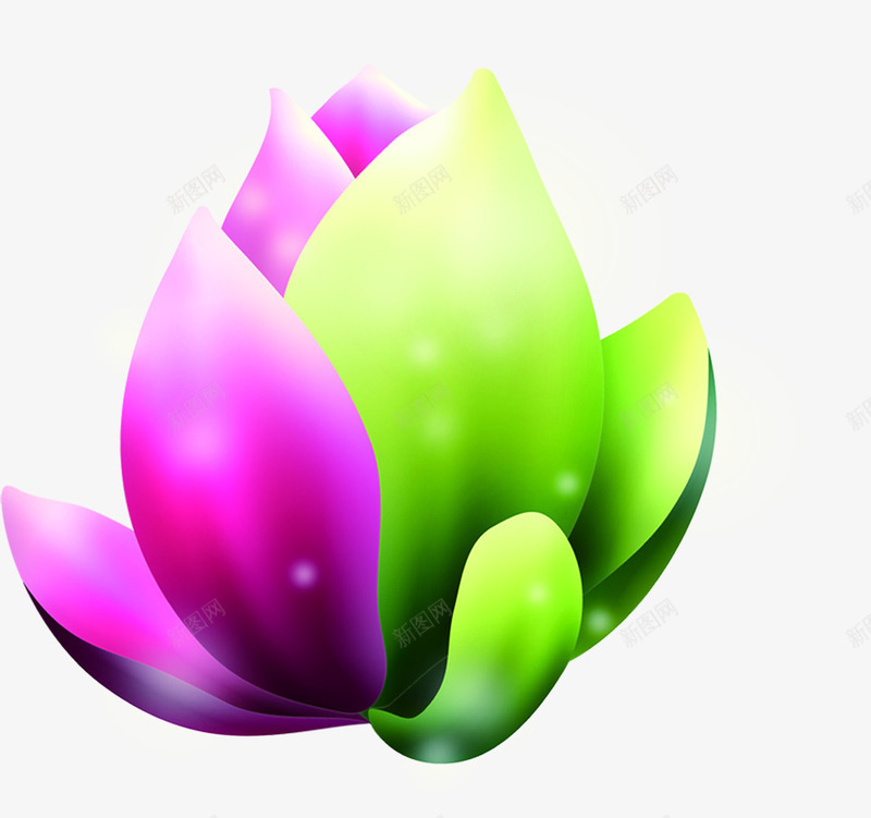 开放卡通星光花朵地产png免抠素材_新图网 https://ixintu.com 卡通 地产 开放 星光 花朵