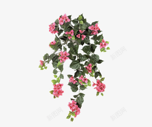 花簇花环png免抠素材_新图网 https://ixintu.com 公园 园林 植物 花环 花簇