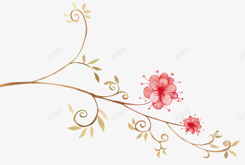 彩绘花朵花纹png免抠素材_新图网 https://ixintu.com 欧美 花朵花纹 花样 花纹 花纹素材 装饰
