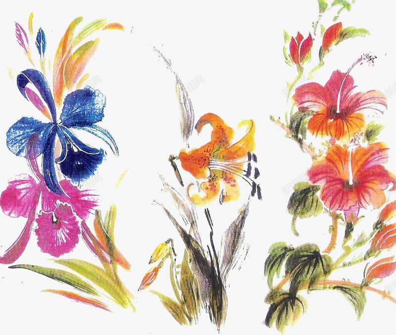 手绘花卉png免抠素材_新图网 https://ixintu.com 小清新 彩色 水墨画 水彩画 油墨画 油彩画 百合花 粉色 红色 绿色 花卉 花朵 黄色