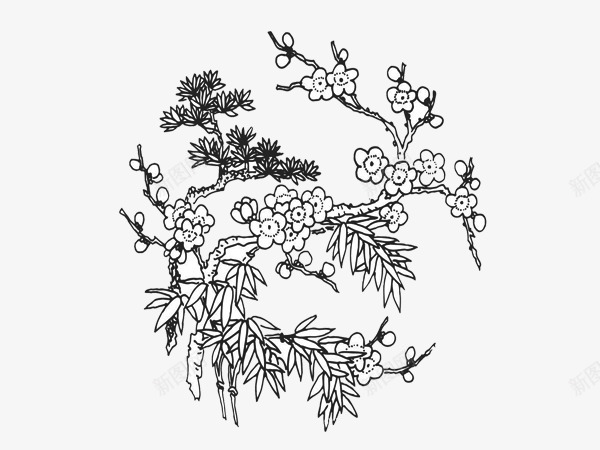 简洁手绘素描梅花png免抠素材_新图网 https://ixintu.com 梅花 简洁 素描