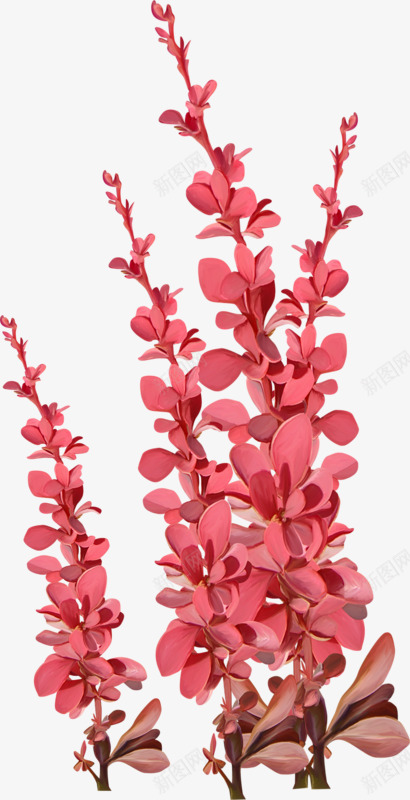 水彩花卉ps花卉png免抠素材_新图网 https://ixintu.com ps花草 ps花草素材 卡通 线描花卉 花草ps素材 花草背景素材 鲜花花卉