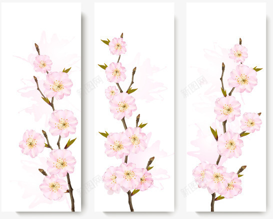三枝粉色重瓣樱花png免抠素材_新图网 https://ixintu.com 叶芽 樱花 粉色 花朵