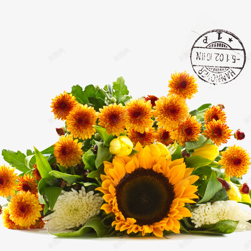 菊花png免抠素材_新图网 https://ixintu.com 向日葵 复古风 欧美风壁纸素材 章印 花朵 菊花