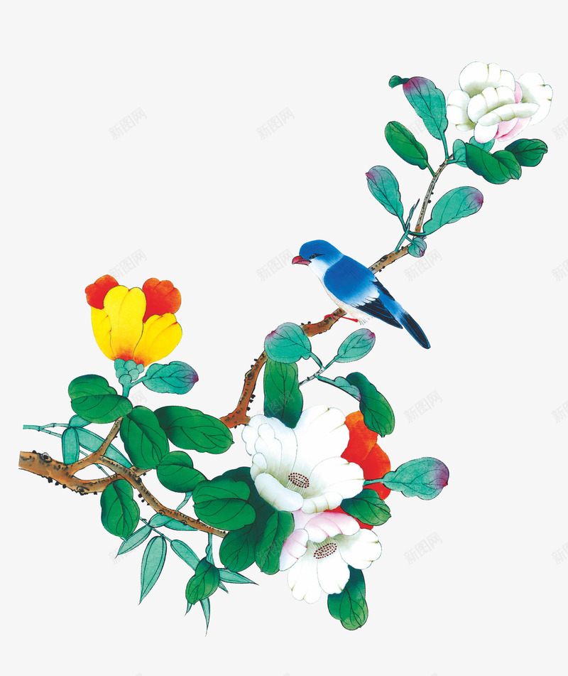 油墨茶花png免抠素材_新图网 https://ixintu.com 小鸟 树枝 白茶花 绿叶 花朵