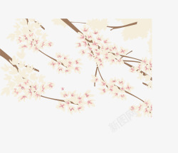 美丽春天樱花树枝矢量图素材