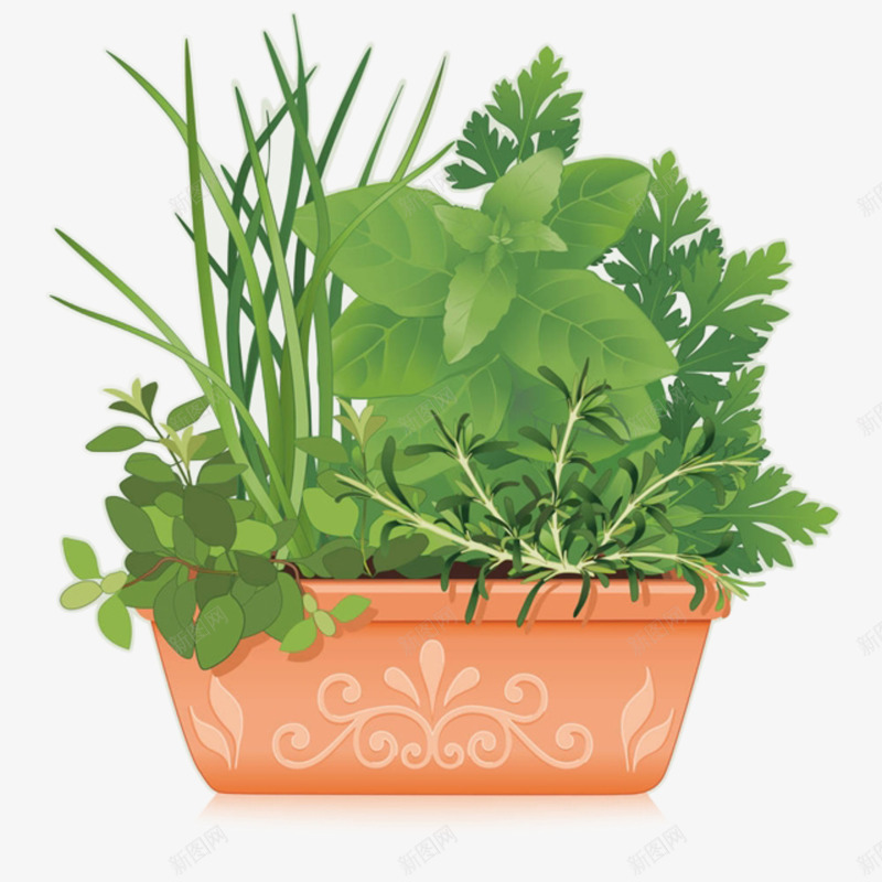 手绘卡通绿色植物盆裁png免抠素材_新图网 https://ixintu.com 卡通 多肉 手绘 植物 盆栽 绿叶 绿植 花卉 观赏