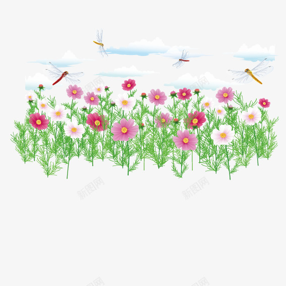 蜻蜓花上飞png免抠素材_新图网 https://ixintu.com 白云 蜻蜓 野花