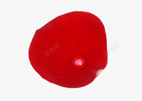 带水珠的玫瑰花瓣png免抠素材_新图网 https://ixintu.com 化妆 水珠 玫瑰 红色 美容 花瓣