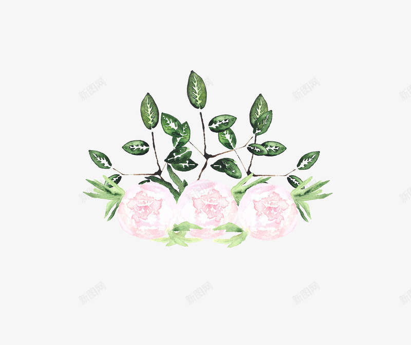 山茶花png免抠素材_新图网 https://ixintu.com 山茶花 水彩 绿叶 花丛 花卉 花朵