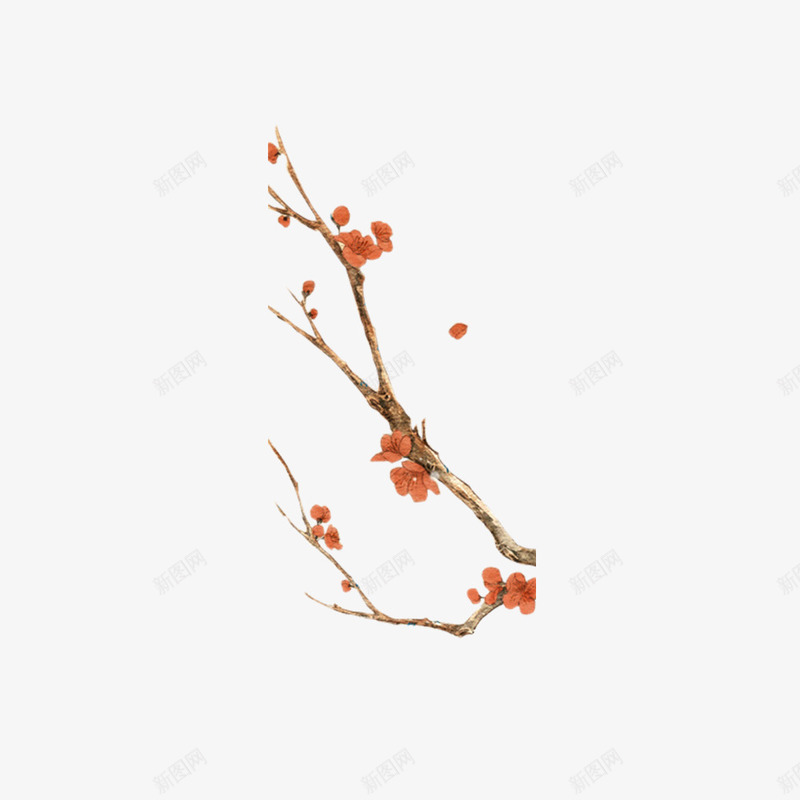 一枝梅花手绘装饰插图png免抠素材_新图网 https://ixintu.com 传统节气 手绘 春游 树枝 梅花 水彩 装饰 踏青
