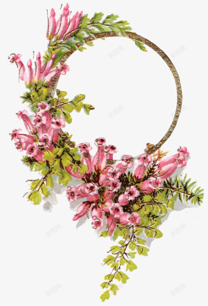 彩绘牵牛花花环png免抠素材_新图网 https://ixintu.com 喇叭花 相框 粉色话 绿叶 花环 装饰
