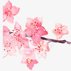 粉色手绘水彩樱花素材