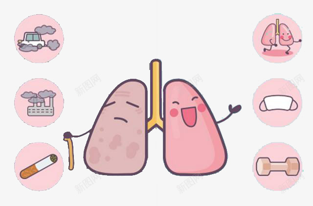 健康生活对比图png免抠素材_新图网 https://ixintu.com 健康生活 卡通手绘 吸烟 吸烟后的肺部对比图 戒烟卡通 污染 汽车尾气 肺部 肺部图案 运动