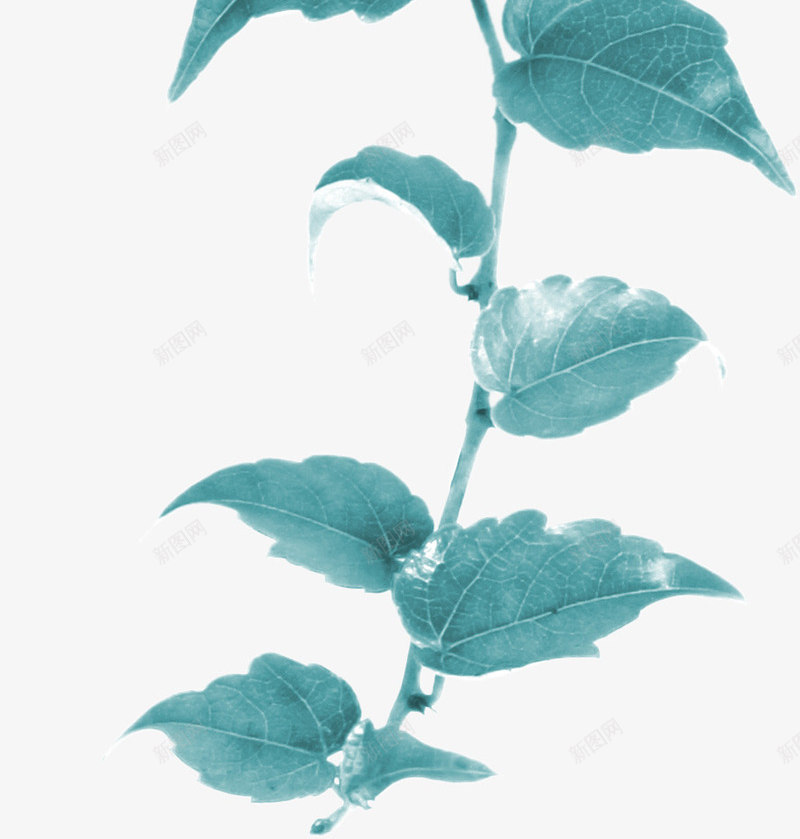 欧美卡通图标png_新图网 https://ixintu.com 卡通英伦风图片 手绘英伦风 手绘英伦风图片 英伦风剪影 英伦风图标 英伦风图片素材