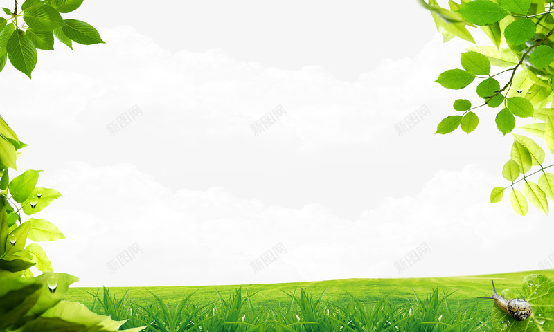 草地树叶边框白云背景png免抠素材_新图网 https://ixintu.com 白云背景 草地树叶白云背景 草地树叶边框 草地树叶边框白云背景