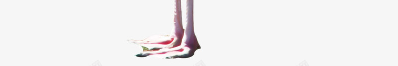 手绘西方火鸡png免抠素材_新图网 https://ixintu.com 暗黑 梦幻图片 欧美 欧美魔幻 火鸡 点缀 西方魔幻