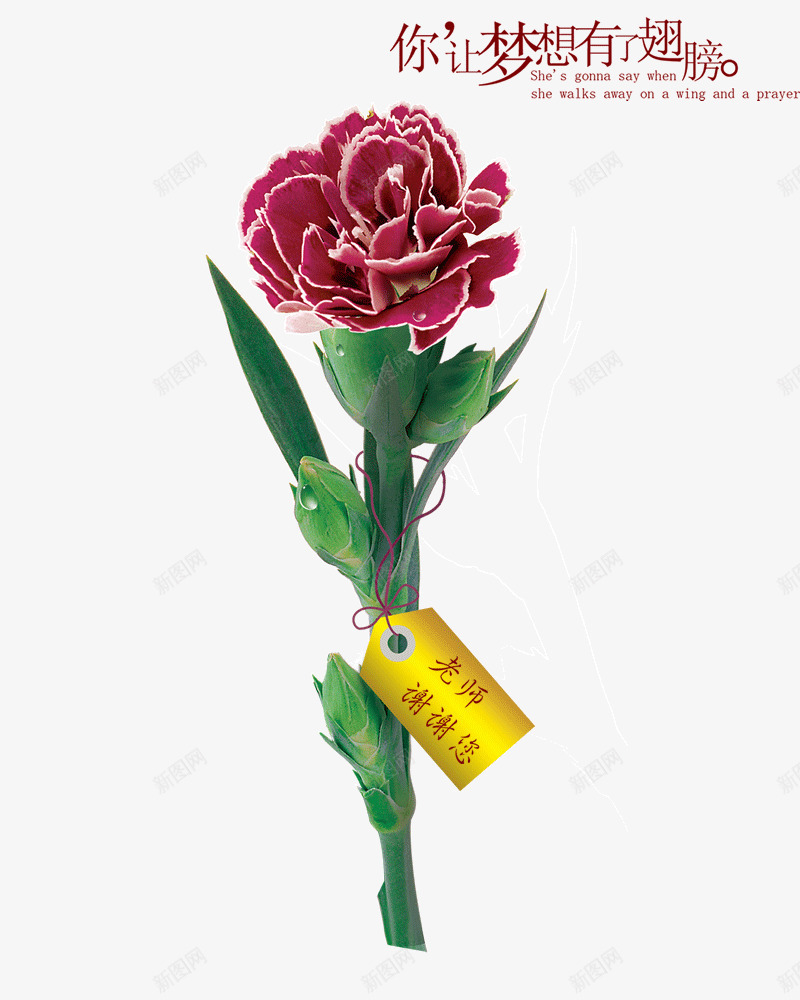 教师节鲜花片png免抠素材_新图网 https://ixintu.com 教师节鲜花素材图片免费下载 老师谢谢您 鲜花