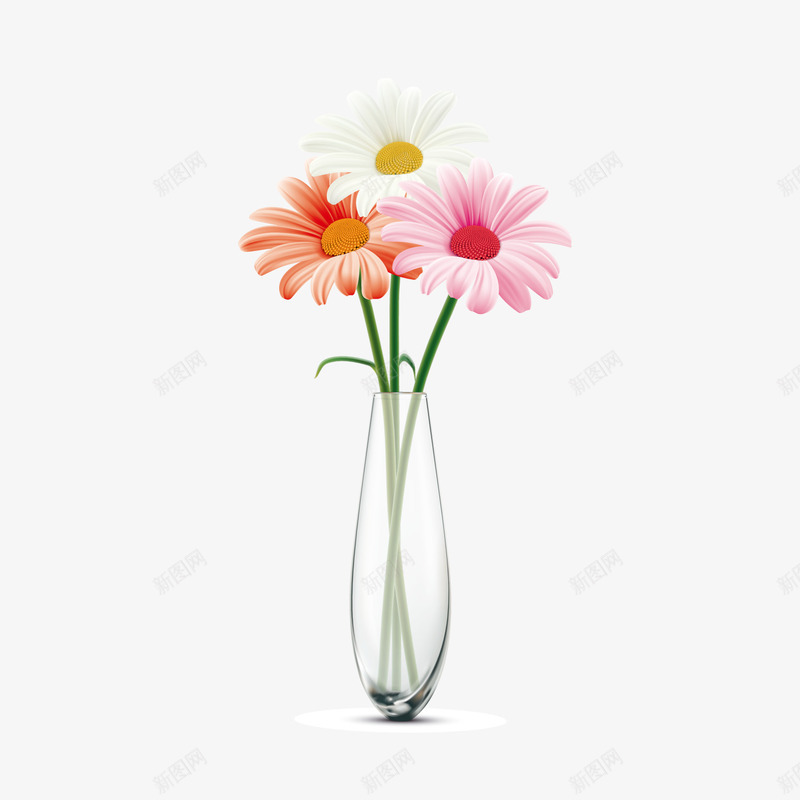 小皱菊矢量图ai免抠素材_新图网 https://ixintu.com 小皱菊 植物素材 花瓶 鲜花 矢量图