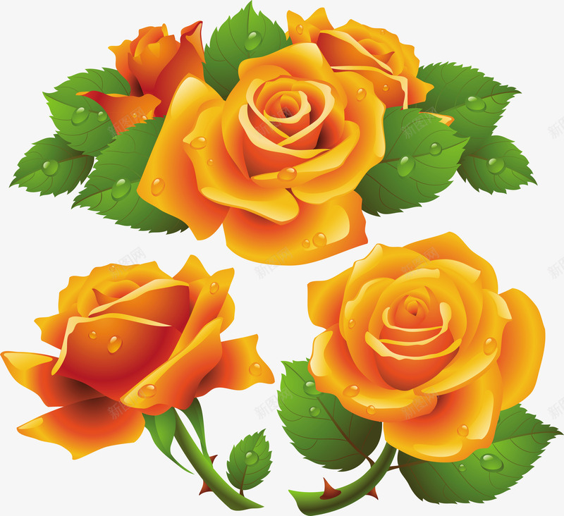 橙色花朵png免抠素材_新图网 https://ixintu.com 叶子 玫瑰花 绿叶 花朵合集 花枝 鲜花