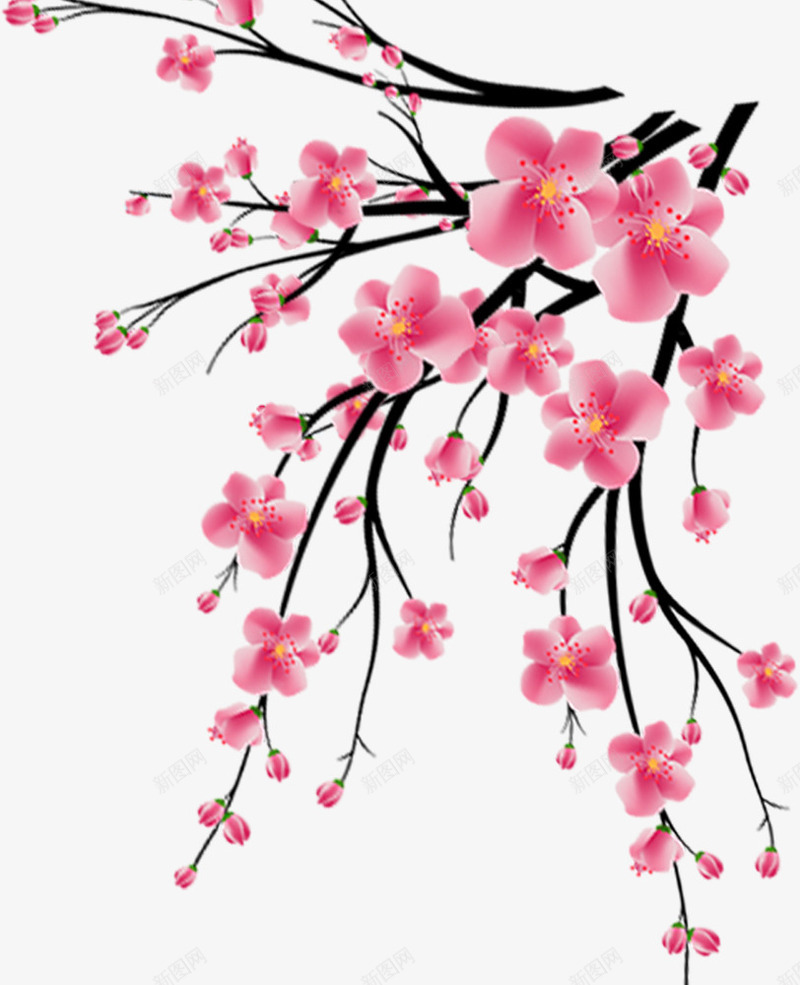 中国风粉色鲜花梅花psd免抠素材_新图网 https://ixintu.com 中国风 中国风粉色鲜花梅花 梅花 粉色 花朵 鲜花