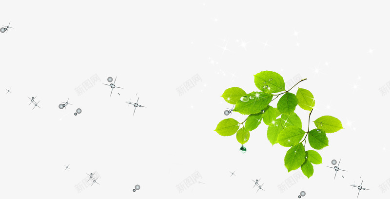 绿色树叶树枝装饰星光png免抠素材_新图网 https://ixintu.com 星光 树叶 树枝 绿色 装饰
