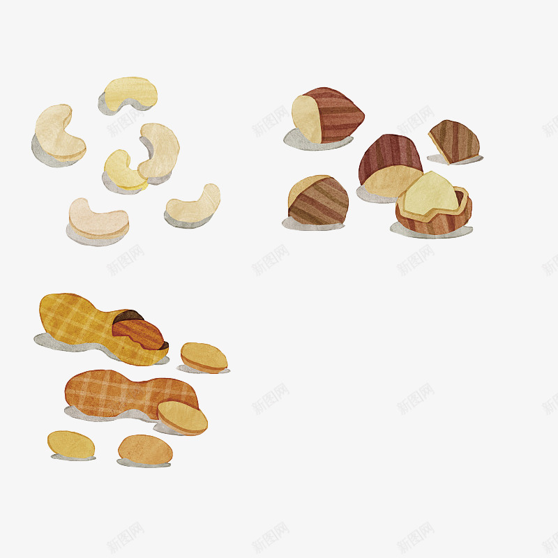 手绘水彩腰果榛子花生插画png免抠素材_新图网 https://ixintu.com 健康 坚果 手绘 手绘腰果 插画 榛子 水彩 美食 腰果 花生 零食