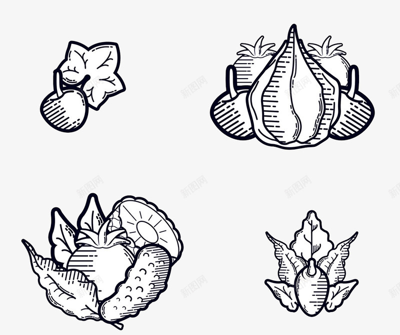 蔬菜简笔画图png免抠素材_新图网 https://ixintu.com 水果插图 水果植物线稿 蔬菜素材 黑白简笔画水果