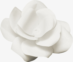 花卉图案鲜花海报背景白色花朵素材