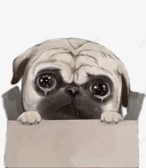 萌萌哈巴狗png免抠素材_新图网 https://ixintu.com 动物 卡通 哭了 纸箱子 萌萌哈巴狗