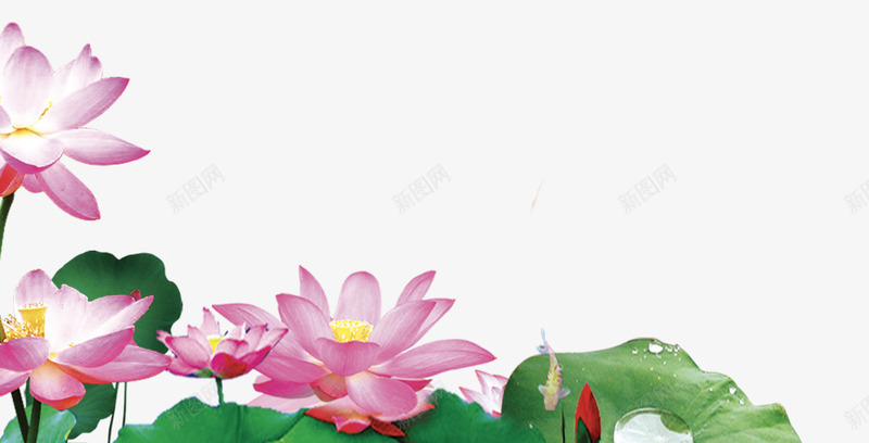 卡通手绘立夏荷叶荷花psd免抠素材_新图网 https://ixintu.com 卡通 卡通手绘立夏荷叶荷花 手绘 立夏 竹子荷花荷叶满池塘 花朵 荷叶 荷花
