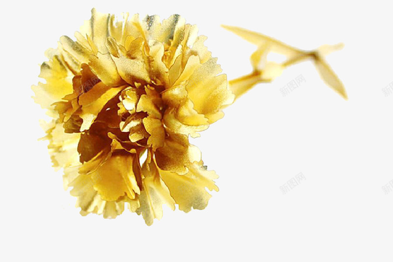 金色花朵png免抠素材_新图网 https://ixintu.com 免费PNG素材 墙纸背景花纹 花朵素材 金箔素材 金箔纹理 金色康乃馨