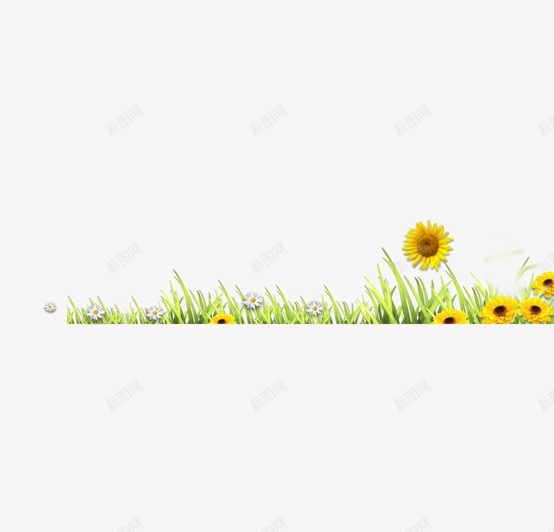 草地鲜花绿草png免抠素材_新图网 https://ixintu.com 鲜花草地