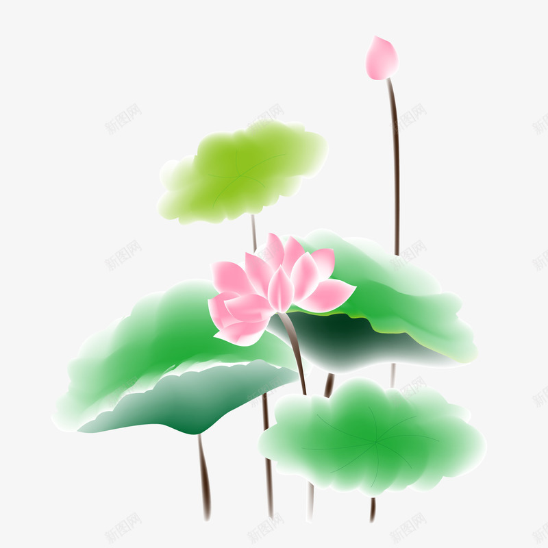 粉色荷花植物png免抠素材_新图网 https://ixintu.com 卡通荷花 水彩绘 粉色荷花 绿色荷叶 背景装饰